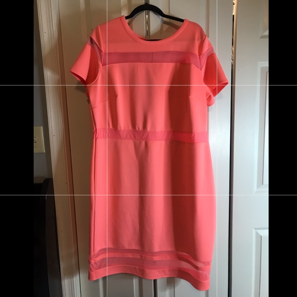 jcpenney plus size pink dresses